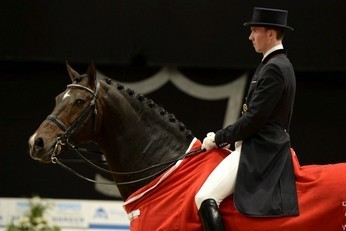 Stallion of the Year 2014 – an obvious choice