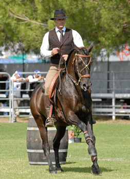 Nuno Palma treina equipa alem&atilde; de Equita&ccedil;&atilde;o de Trabalho