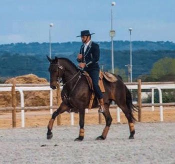 Monte das Flores ao rubro com a Equita&ccedil;&atilde;o de Trabalho