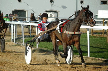 Alter recebeu a 4ª Jornada do campeonato nacional de Corridas de Cavalos