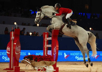 Marina Frutuoso de Melo embaixadora da Marca Zandona