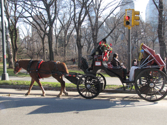 Carruagens de Central Park com os dias contados…