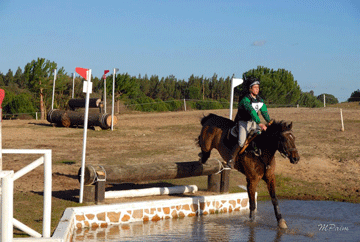 Resultados da V Jornada da Ta&ccedil;a ACCE 2013/2014