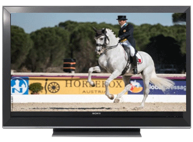Hoje o World Dressage Masters em Vidauban na TV