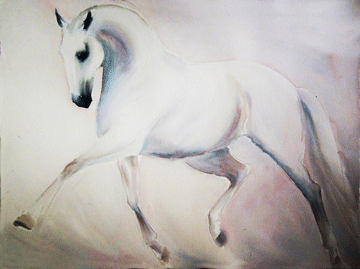 Novos órgãos sociais da APSL para o triénio 2014-2016