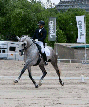 José Garcia Mena com Dragão das Figueiras supera os 80% em Madrid