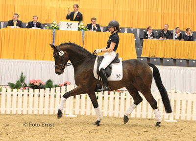 Hanoverian &laquo;Sullivan&raquo; top-priced horse (VIDEO)