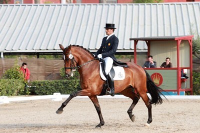 CDI3* Madrid: O Cavalo Lusitano em destaque com «Batuta das Figueiras» e «Coroado AR» no comando