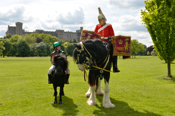 All creatures great and small at Windsor