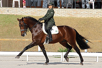 Two steps closer to WEG for Brazilian quartet