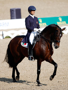 O bom nome de Portugal e dos seus cavalos