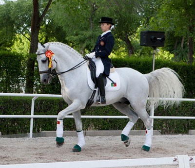 Pódio Lusitano em Madrid