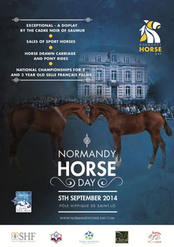 Normandy Horse Day, an innovative event for French breeding