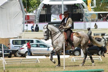 Resultados da IV Jornada do Campeonato Nacional de Equita&ccedil;&atilde;o de Trabalho