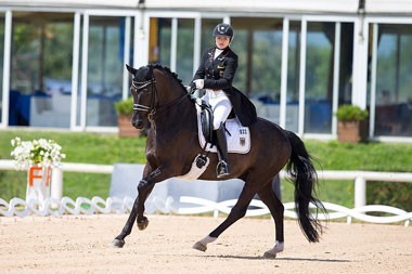 Germans and Dutch divide the gold at European Dressage Championships in Arezzo
