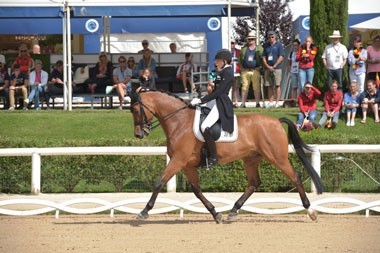 Germany in the lead for the Juniors and Netherlands for Young Riders Team competition in the provisional results