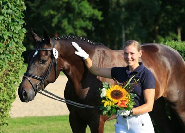 San Leander P sold for 70,000€ to the Netherlands