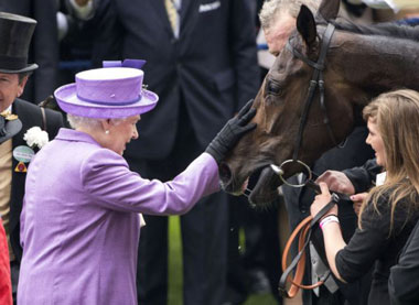 "Estimate" da Rainha apanhada no doping