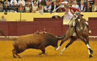 Morreu «Zamorino» de João Salgueiro
