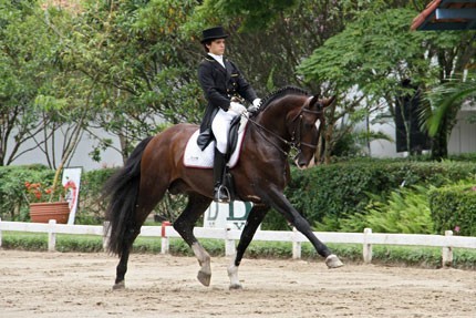 Cavalos Alter Real nos Jogos Equestres Mundiais da Normandia