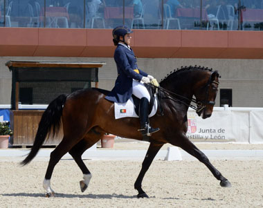 130 Jovens cavaleiros disputam o Europeu de Dressage 2014