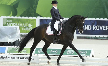 JEM 2014 Lágrimas na despedida de «Digby»