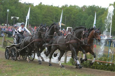 WEG 2014:Four-in-hand drivers ready for titanic battle