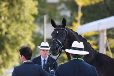 WEG 2014: Looking forward to Week 1 of the Alltech FEI World Equestrian Games™