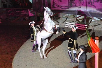 Centro Equestre Lusitanus apresentou “LUSITANA PAIXÃO” na Fatacil 2014!