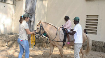 Crianças angolas com deficiência motora beneficiam de terapia da equitação