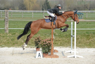 Maria Vozone Vilar conquista segundo lugar do pódio no Mundial de Cavalos Novos em Lanaken