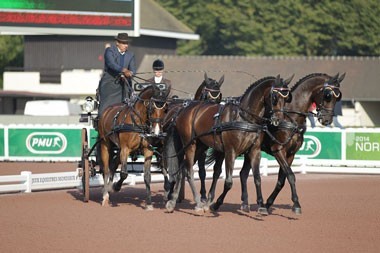 WEG 2014: Dutch drivers take an early lead