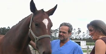 «Josefina» nasce em barriga de aluguer em Vila do Conde (VÍDEO)