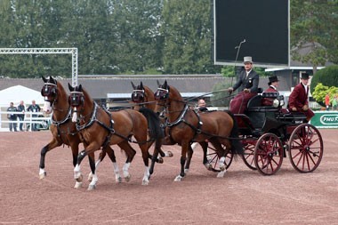 WEG 2014: Chester Weber and Dutch team are unsurpassed in driven dressage