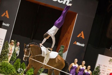 WEG 2014: Austrians head the Squad