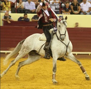 Campo Pequeno – toureio sem emoção