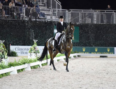 Isabell Werth and El Santo Win 2014 Central Park Dressage Challenge