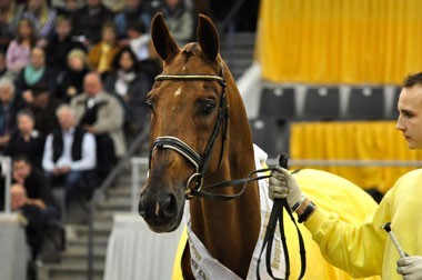 Breitling W Top in sports and breeding