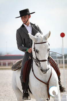 VII Jornada do Campeonato Nacional de Equitação de Trabalho em Cascais