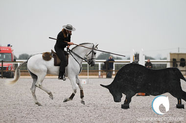 VIII Jornada de Equitação de Trabalho em Beja