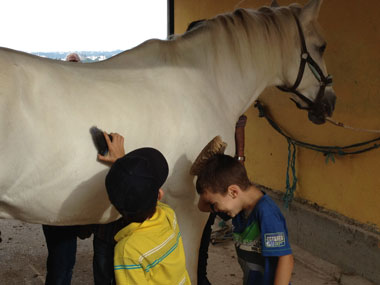 Cerca de meia centena de crianças, dos 5 aos 12 anos, vão ter oportunidade de experimentar a Equitação.