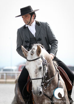 RuralBeja destaca cavalo lusitano, touro e regadio