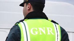 GNR recupera 5 cavalos roubados em Espanha