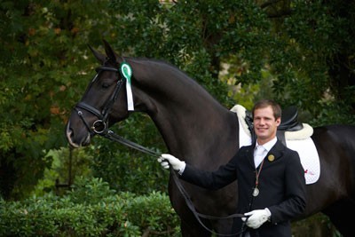 Resultados dos Critérios de Cavalos Novos de Dressage 2014