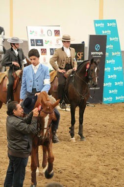 Resultados da VII Jornada do Campeonato Nacional de Equita&ccedil;&atilde;o de Trabalho 2014