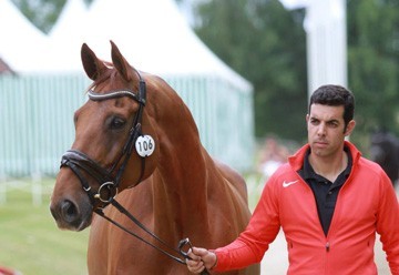 Lesão afasta Luís Principe do Olympia (CDI4*-W)
