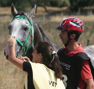 Estudos inovadores no primeiro Raide H&iacute;pico do Torre de Palma Wine Hotel