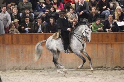 &laquo;DOLAR DO PENEDO&raquo; - O Lusitano Campe&atilde;o dos Campe&otilde;es na Goleg&atilde; 2014