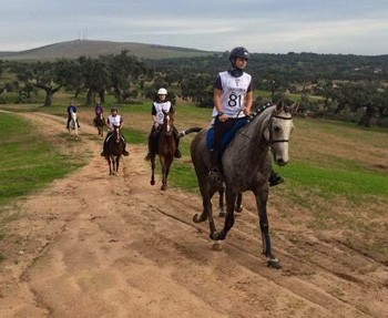 Mais de 80 raidistas disputaram o Raide Hipico Torre de Palma