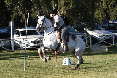 Saiba quem s&atilde;o os novos Campe&otilde;es Nacionais de Equita&ccedil;&atilde;o de Trabalho 2014